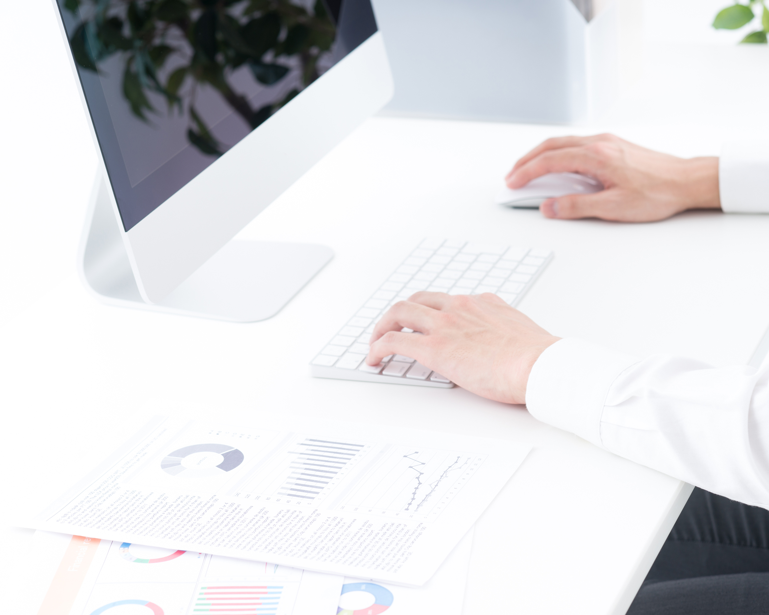 写真の説明を入れます